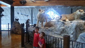 boys and lion